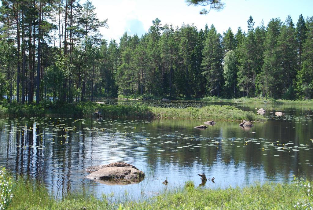 Hamgarden Nature Resort Tiveden Номер фото